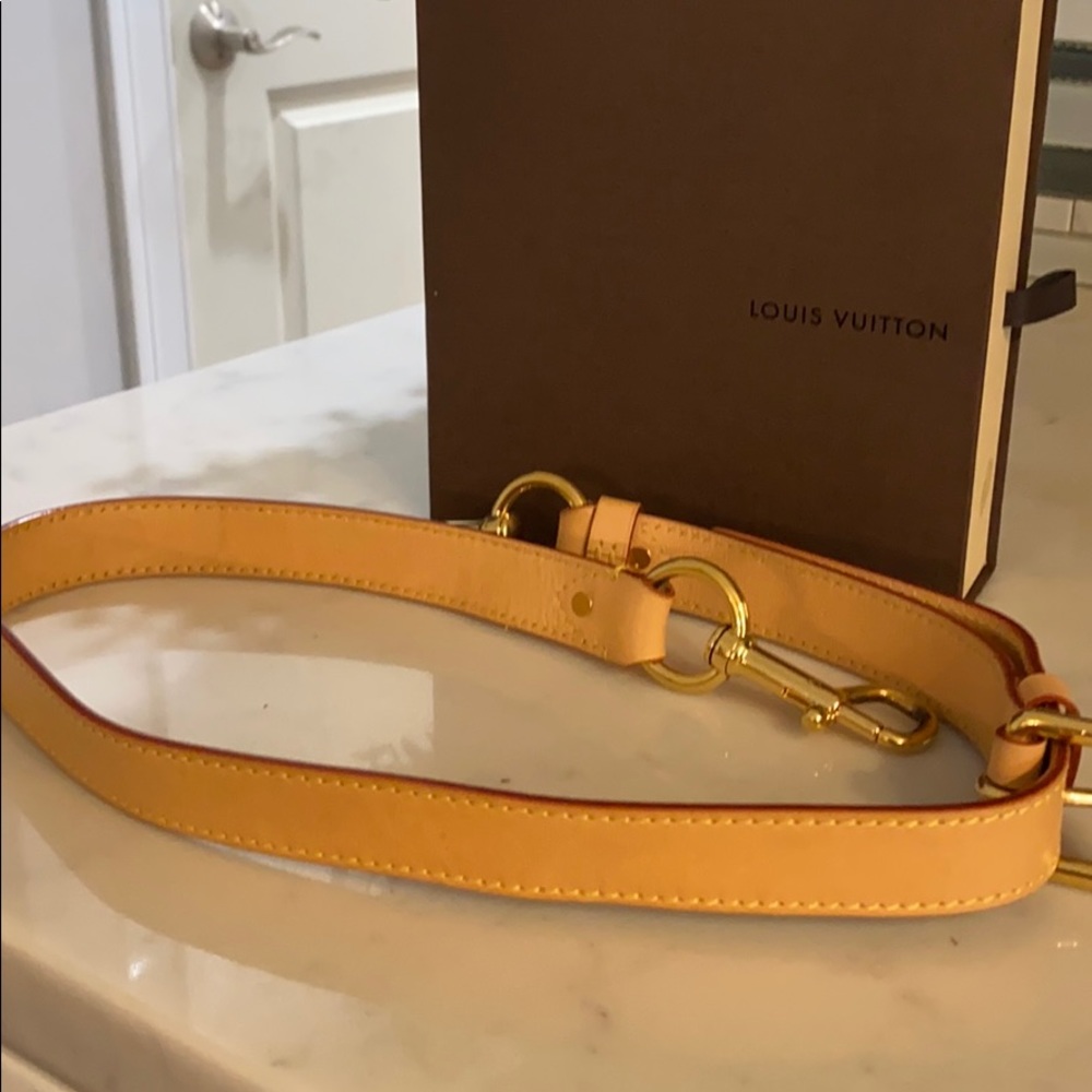 Louis Vuitton bag strap.